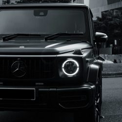 rico-reynaldi-2o_rxu8morY-unsplash